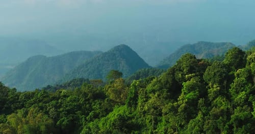 Aerial Drone View of Tropical Mountain Forest and Jungle Hills