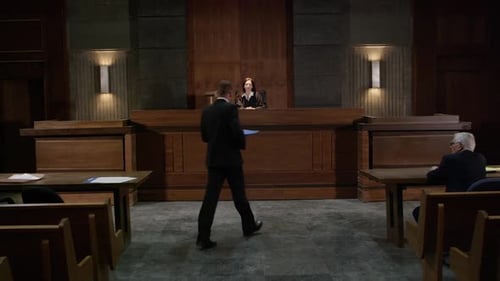 Lawyer Addressing Judge in Courtroom Setting