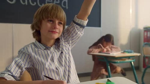 Smiling Child Raising Hand at Lesson in Auditorium. School Student Answering Question