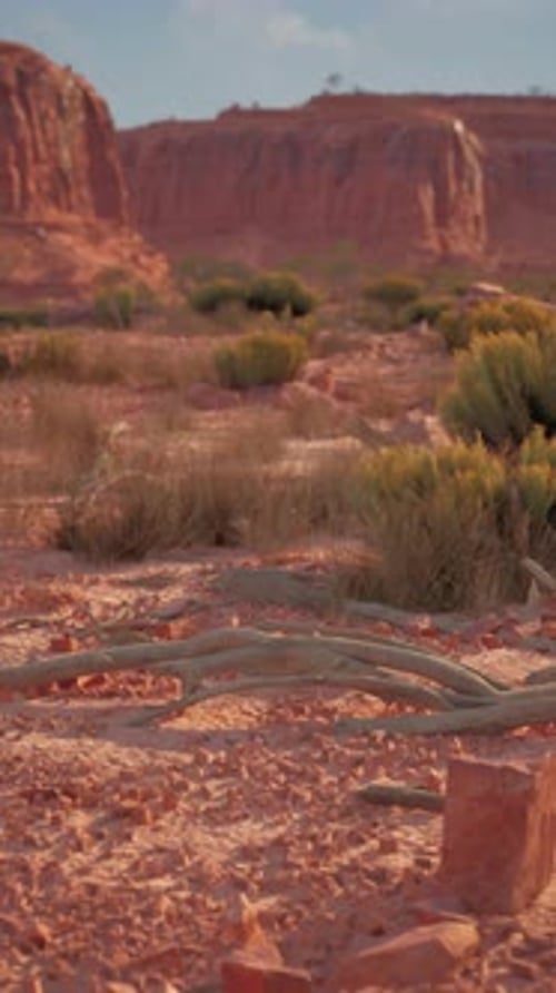 Arid Desert Landscape With Rocks and Plants