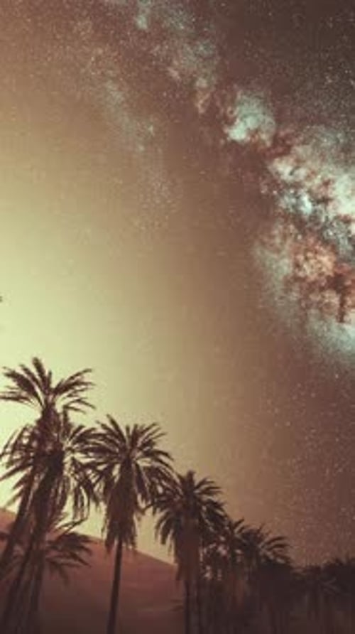 Night Scene with Silhouette Hut and Coconut Tree with Milky Way Galaxy in Sky