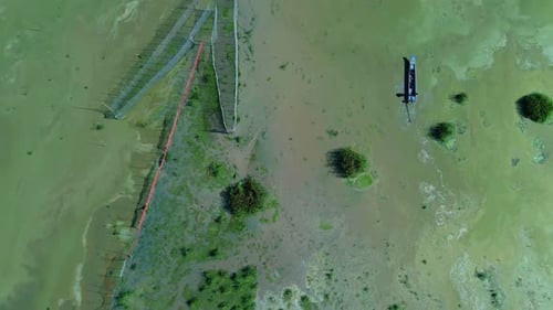 Arrow head Fish Trap and fisherman in boat Asia. - Areal flyover with algae on the side of a lake du