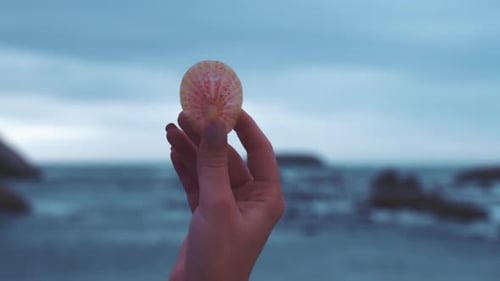 Frau hält Muschel mit Wasserwellen an einem ruhigen Strandurlaubsreiseziel in der Hand