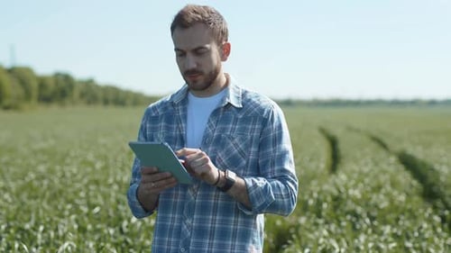 Schöner junger Mann, der mit einem digitalen Tablet Daten auf der grünen Wiese eingibt Ernsthafter Agronom