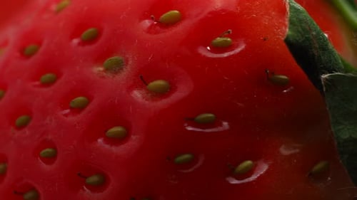 Rotierende reife Erdbeeren auf weißem Hintergrund