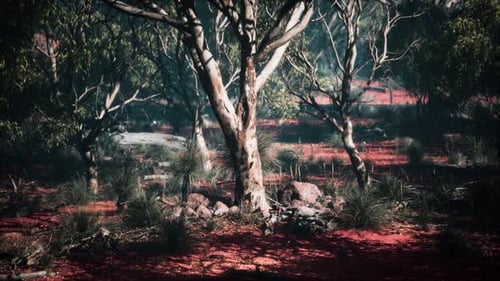 Cinematic Slow Pan Through a Realistic Woodland Forest
