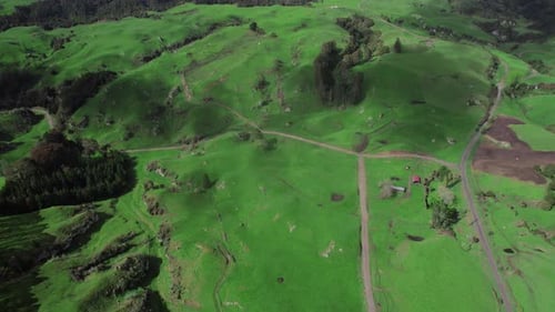 Colinas campestres cubiertas de hierba verde y rodeadas de naturaleza, vegetación y belleza natural