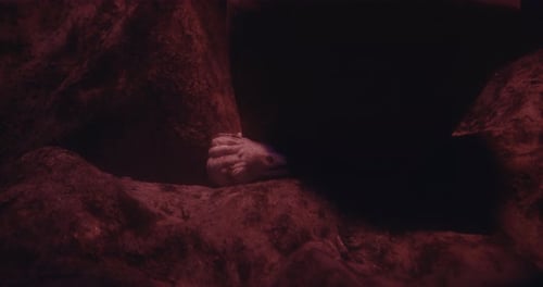 Une grande murène