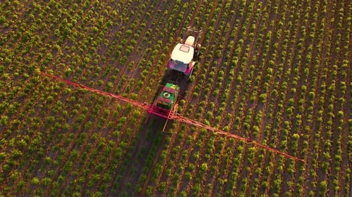 Farming Tractor Working on Field with Sprayer Spraying Herbicides and Pesticides at Sunset Aerial