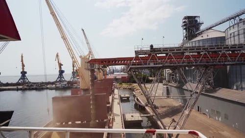 Grain Loading to Bulker Ship Cargo Container at Sea Grain Terminal in Seaport Wheat Shipment From