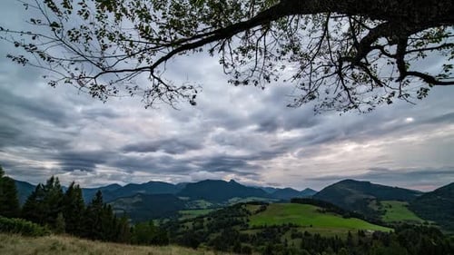Dramatic Clouds Under the Tree