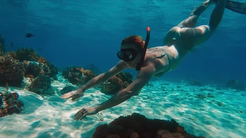 Female Freediver in Bikini Swims Underwater in the Tropical Sea and Glides Over the Reef