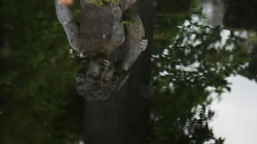 Antique old tone statue classical figure reflecting in fountain water ripples