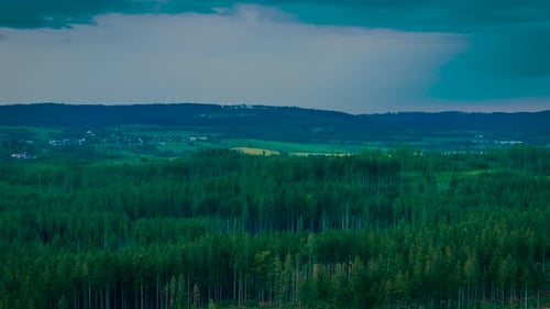 Pine Forest Stretching Toward Distant Hills Under Cloudy Evening Sky Tall Trees Covering Valley with