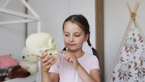 Girl Examining Anatomical Skull Model in Room