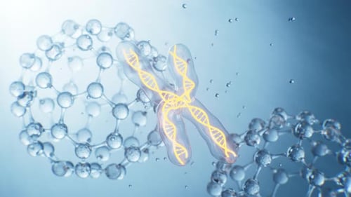 Animated Chromosome with DNA Helix and Molecular Structure Rotating