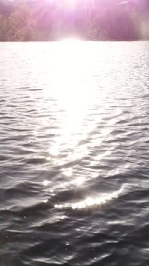 Sunlight Sparkling on Rippling Water
