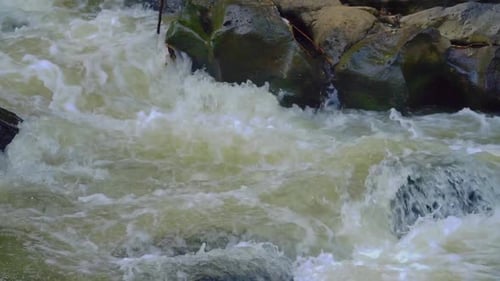 Water river courses through the rock. Rapids on the river. Close up shot of a cascade in the woods -