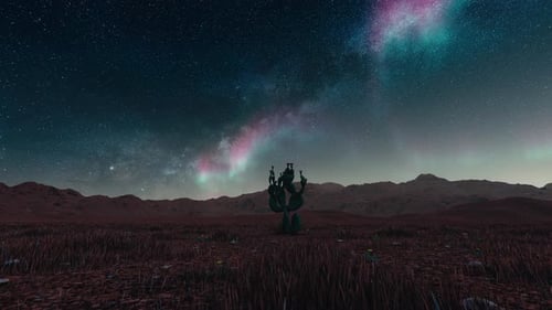 Aurora Display Over Desert with Cactus