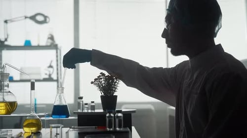 A Scientist Works in the Laboratory A Man Uses a Pipette to Add a Blue Chemical to a Potted Plant