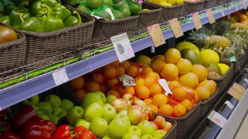 Large number of citrus fruits lie in containers on counter in large supermarket.