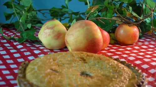 Apple Pie made with honey Crisp apple on a red and white checkered tablecloth