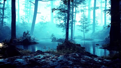 Panoramic View of the Majestic Evergreen Forest in a Morning Fog