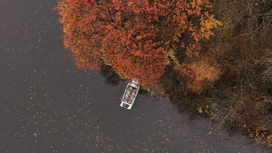 Small Boat Floating on a River Surrounded By Autumn Foliage, Nature ...