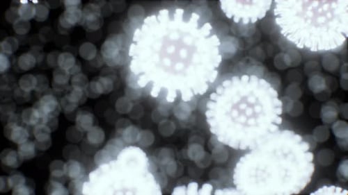 Vírus sob a visão microscópica para a educação