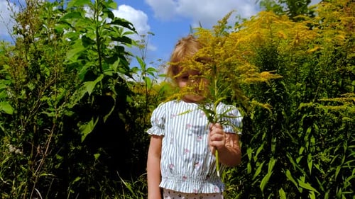 The Child is Allergic to Ragweed Selective Focus