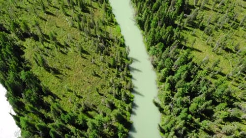 Turquoise River Flowing Through Lush Green Valley Media