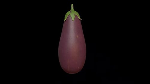 Realistic 3D Eggplant Rotating Loop Animation