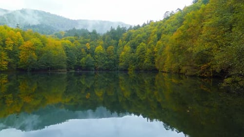 Scenic Lake Reflecting Autumn Trees in Nature