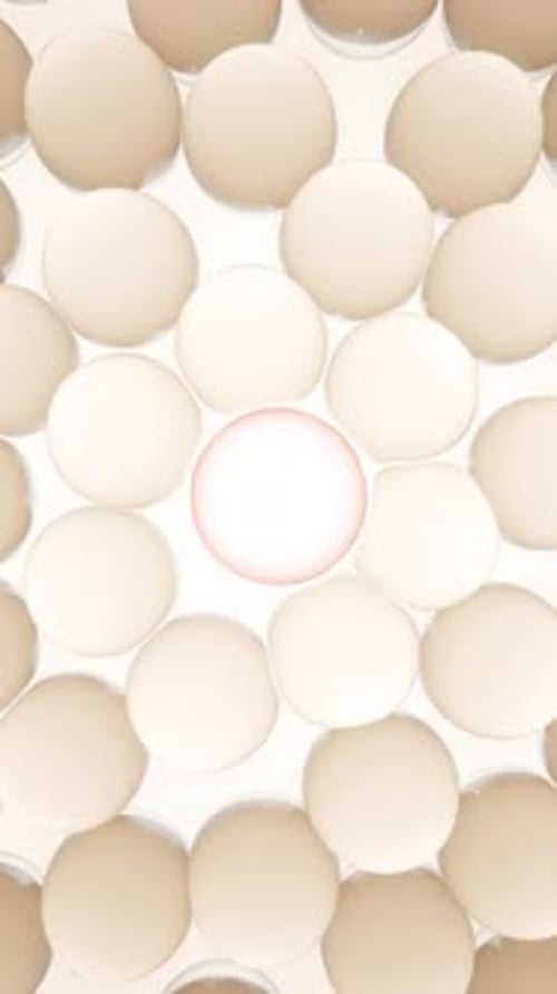 Skin Cells Healing and Recovery Process Natural Components Reducing Inflammation and Restoring