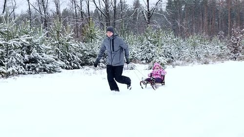 Dad rides a little daughter on a sleigh in the winter forest during snowfall. Happy family has fun