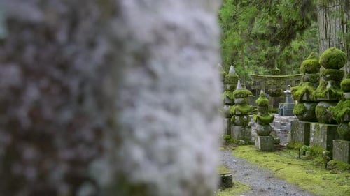Slow motion reveal over overgrown temple grounds at Koyasan in Japan