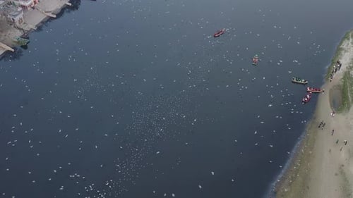 Vista aérea de pessoas alimentando pássaros em barcos no rio Yamuna em Delhi, Índia.