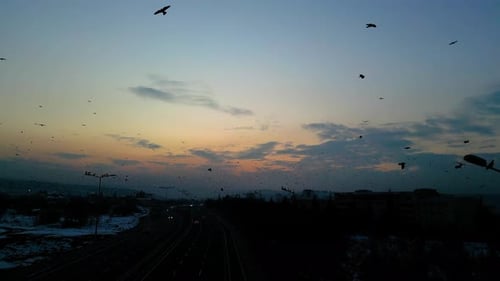 At sunset, a drone flying with crows over the road