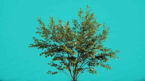windiger isolierter realistischer Baumast aus 3D-Rendering mit blauem Bildschirmhintergrund