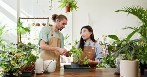 Small Business Owners a Man and a Woman In a Welllit Indoor Garden a Man and a