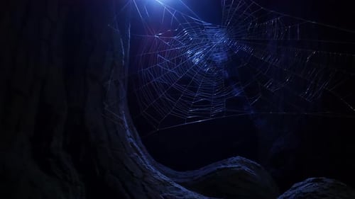 A spider's web in the woods at midnight. The cascading blue light shines down on the spiderweb throu