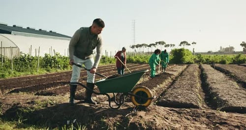 Landscaping soil, wheelbarrow and people on farm gardening for vegetables, harvest and crops