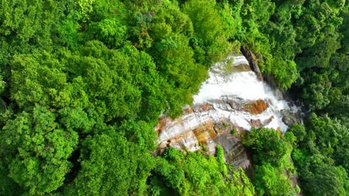 The beauty of the waterfall in the heart of the tropical forest.