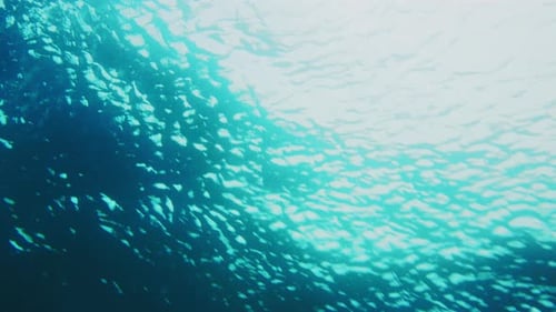 Building wave rises and shimmers glowing as it barrels over surfer, underwater
