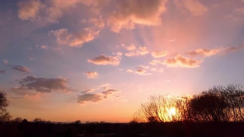 Drohnenaufnahme bei Sonnenuntergang, Goldene Stunde, die Sonne durch einen hinterleuchteten Baum mit wunderschönen Wolken und blauem Licht zeigt