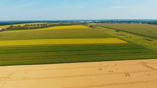 Des
terres agricoles multicolores sous le ciel bleu. Des champs agricoles avec différentes cultures côte à côte.
