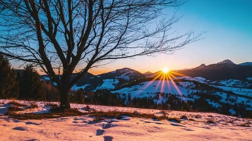 Sunrise Winter