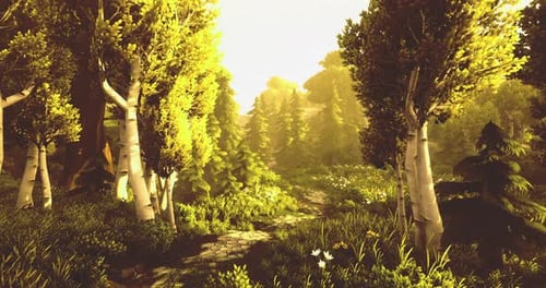 Sunlit Forest Path with Vibrant Greenery and Tall Trees in Tranquil Nature