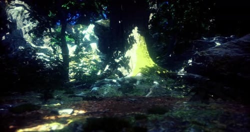 La lumière filtre à travers les arbres dans un paysage forestier serein