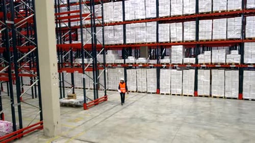 Logistics engineer walking in large warehouse